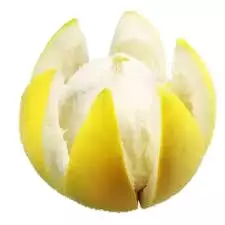 5.png