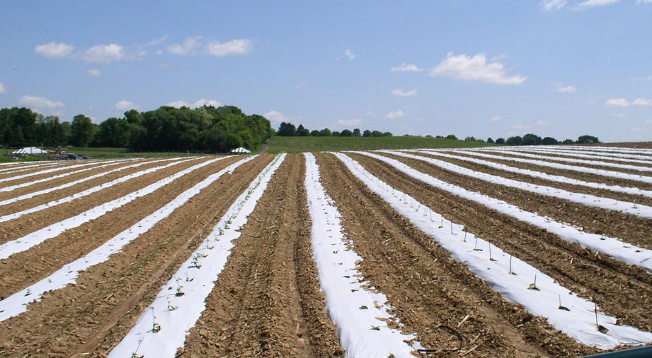 71d7cabe8bed309a04f79c4154fef05.png 71d7cabe8bed309a04f79c4154fef05.png