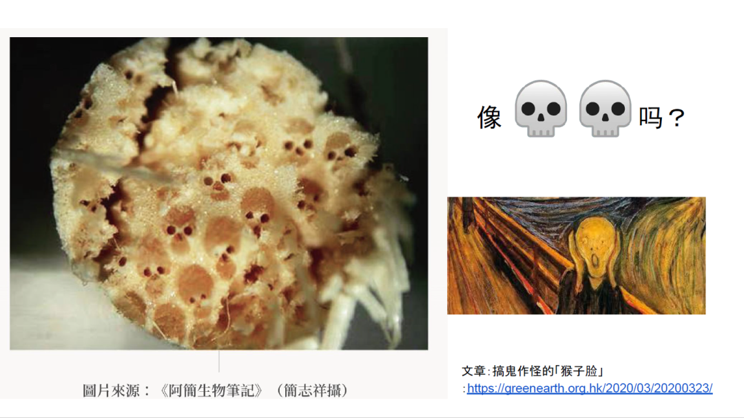 f2848a677bfebbadcaff199829618a2.png
