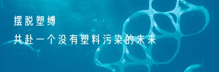 头图.png 头图.png