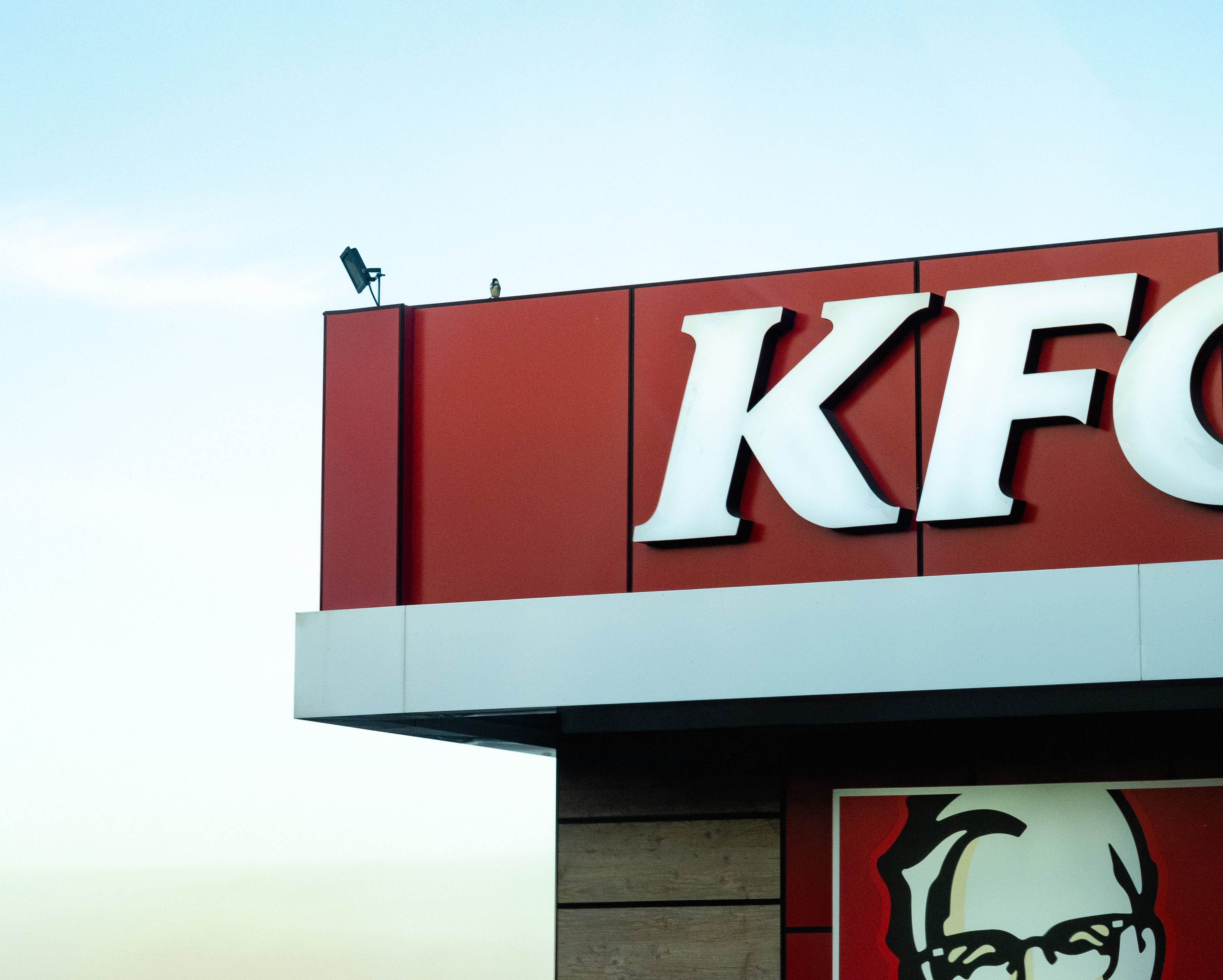 jonathan-leppan-XrRrS25Nbbk-unsplash.jpg jonathan-leppan-XrRrS25Nbbk-unsplash.jpg