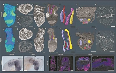 2674688728.jpg 2674688728.jpg