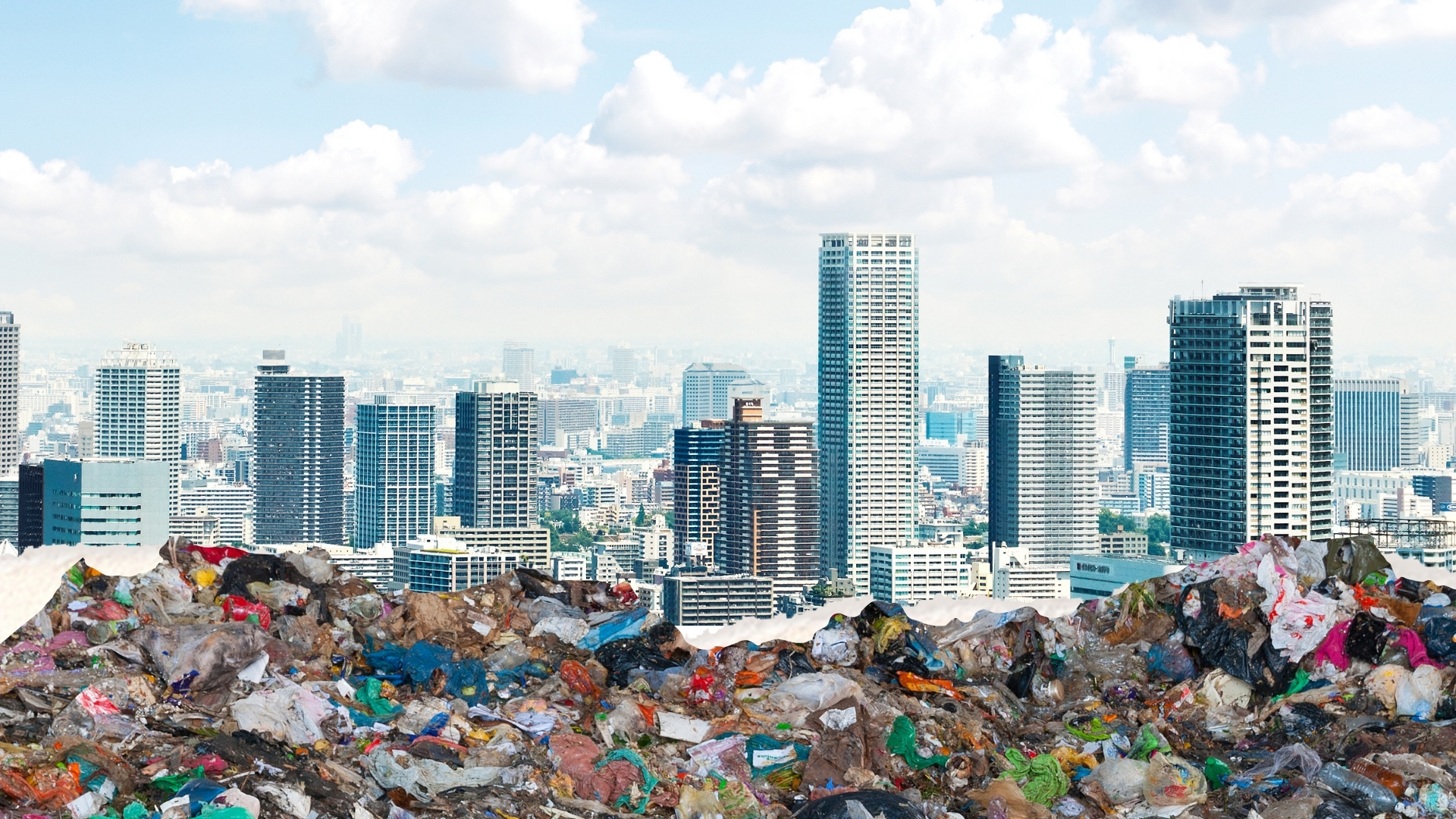 image (6).png image (6).png