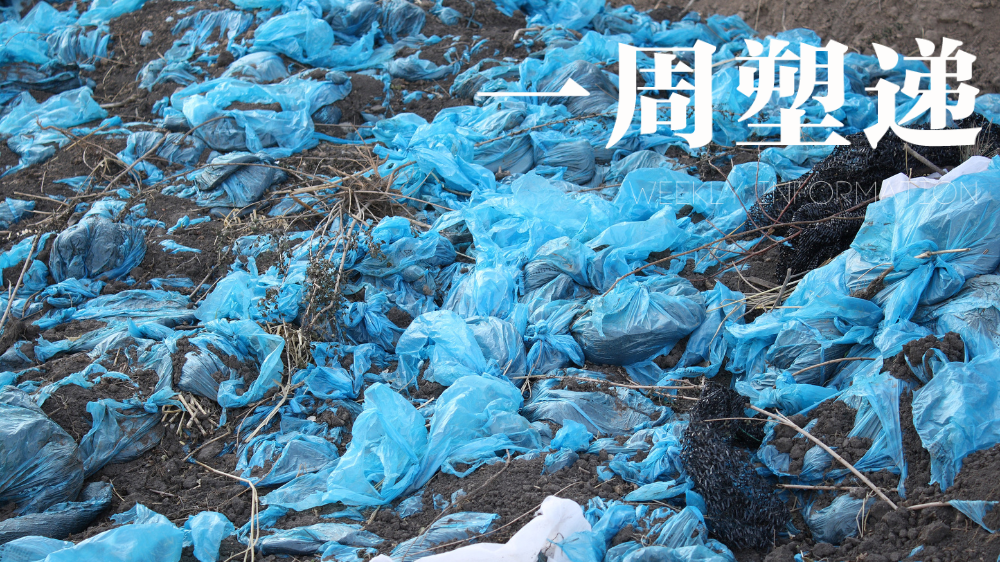 一周“塑”递：健康正在被偷走？塑料污染或吞噬8300万年健康寿命