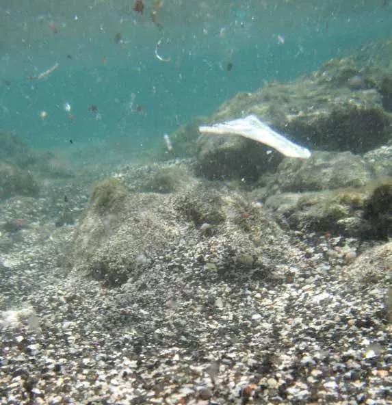 754828105bcd71a666da67065f1d518.jpg 754828105bcd71a666da67065f1d518.jpg