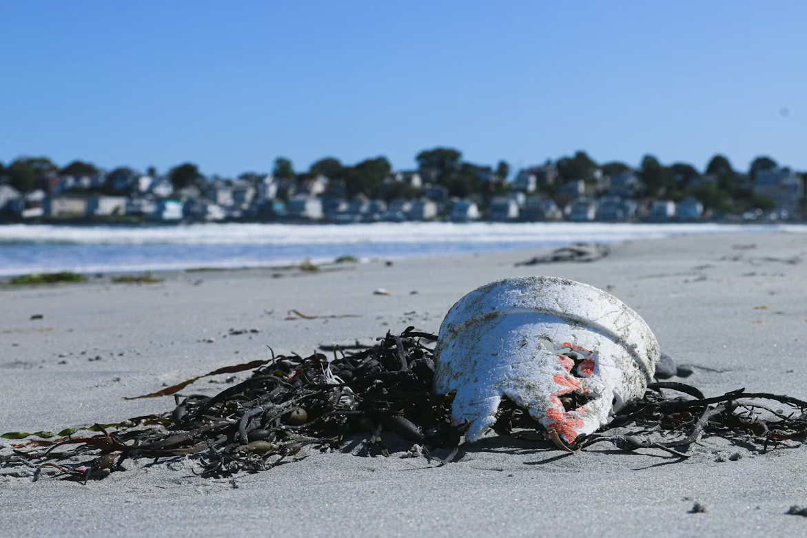 image (3).png image (3).png