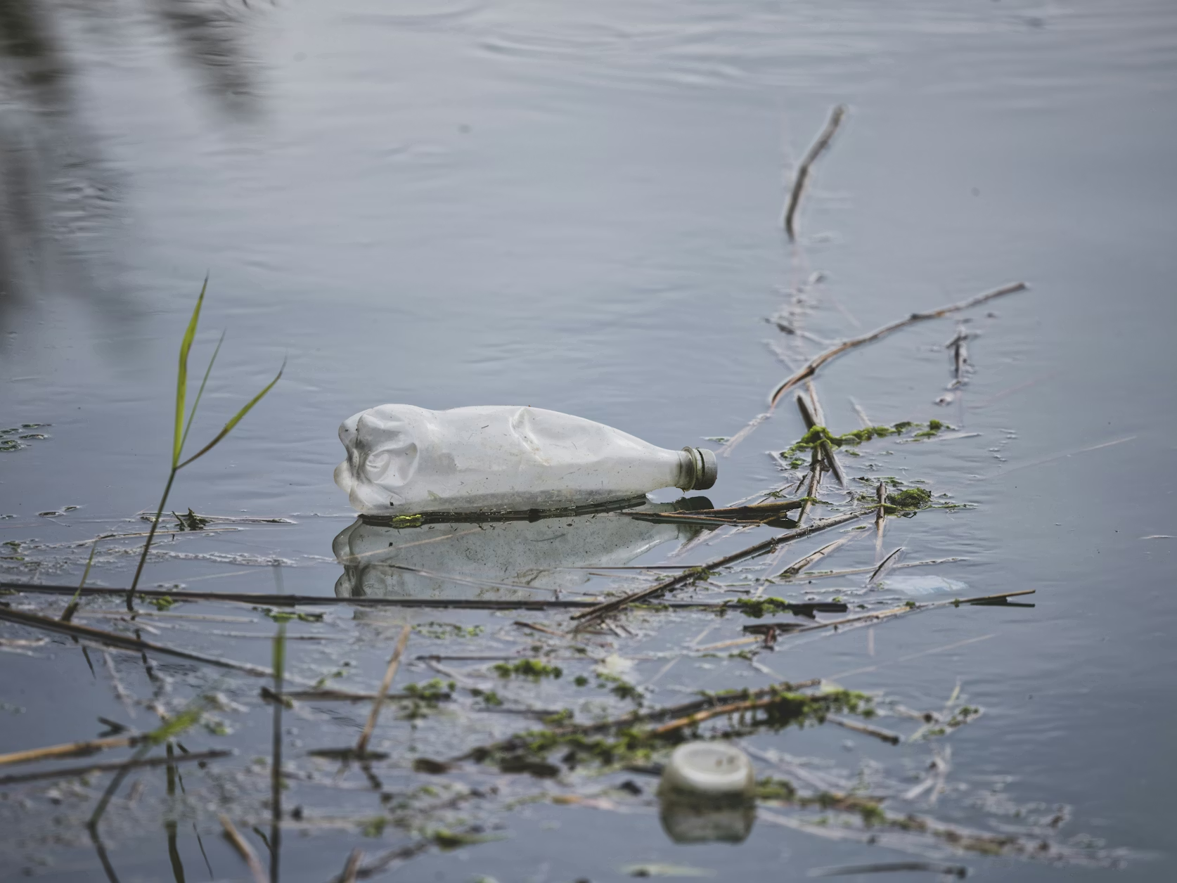 image (2).png image (2).png