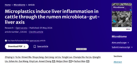 湖南农业大学万发春教授团队:微塑料通过瘤胃微生物群-肠道-肝脏轴诱导肉牛肝脏炎症.jpeg 湖南农业大学万发春教授团队:微塑料通过瘤胃微生物群-肠道-肝脏轴诱导肉牛肝脏炎症.jpeg