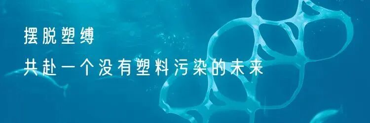 头图.jpg 头图.jpg
